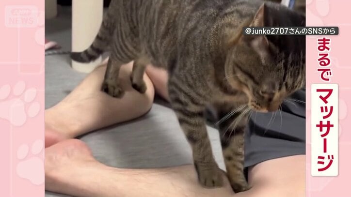 飼い主さんの足をマッサージしてる？