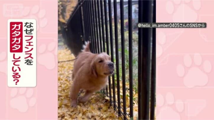 なぜガタガタするの？