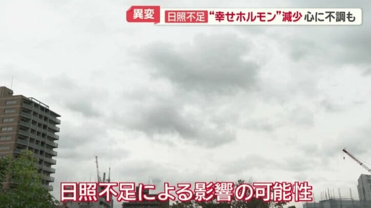 日照不足による影響の可能性