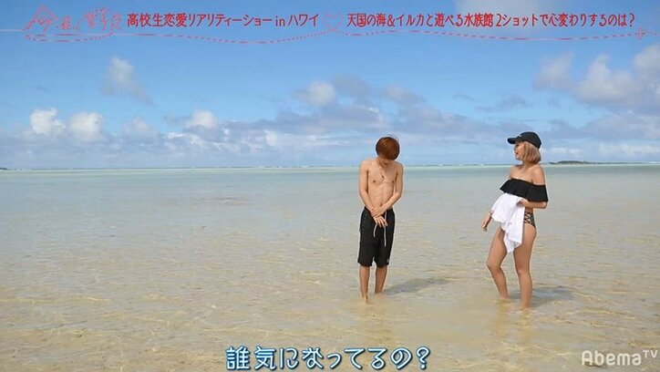 りったろを巡り男2人がマウンティング合戦！？大波乱の三角関係『今日好き』ハワイ編第3話