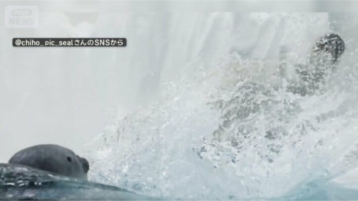 またまた水バシャー！！