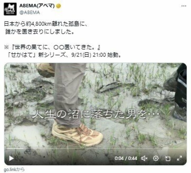 【写真・画像】　2枚目