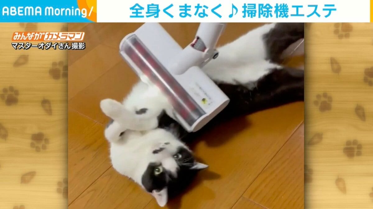 掃除機で吸われるのが好きな猫 ゴロンとリラックスモードに「音怖く