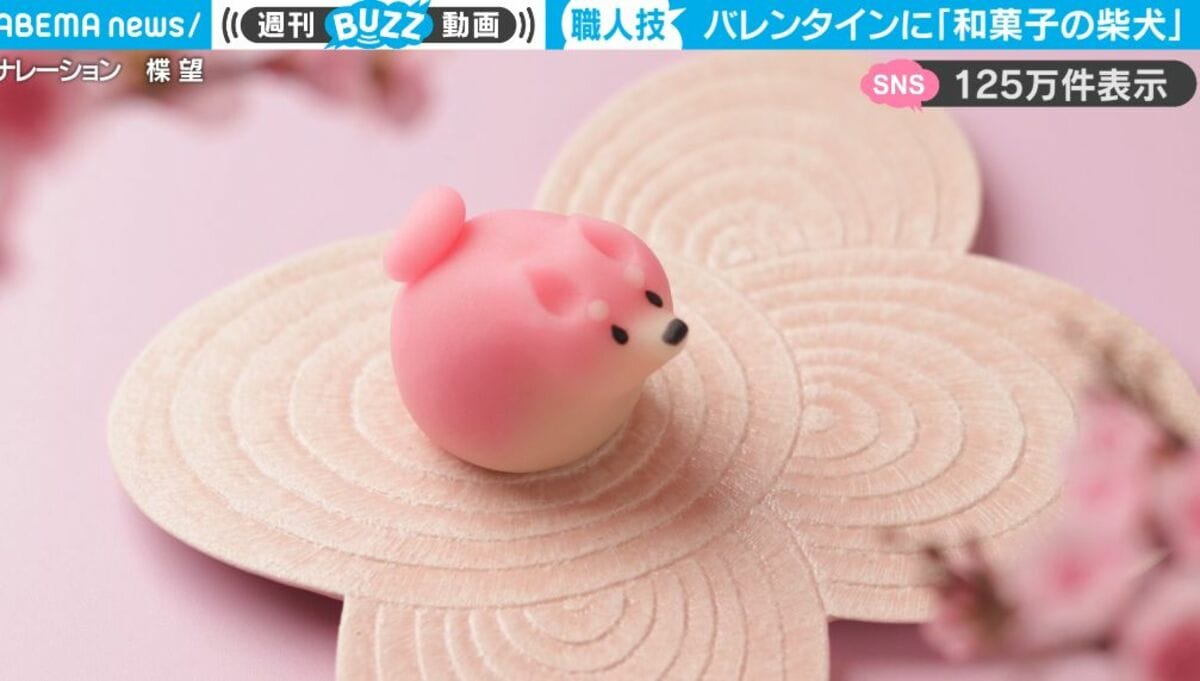 はああかわいいいい」バレンタインデーにピッタリ！“ピンクの柴犬