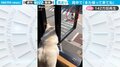 「また帰ってきてね…」家族を“ず～っと”見送る柴犬の背中に心温まる
