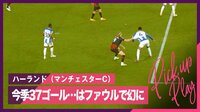 【映像】怪物ハーランド「幻」の今季37ゴール