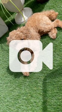 渡辺美奈代『日向ぼっこ中動画』