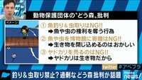 海外動物保護団体が“どうぶつの森”を批判!?