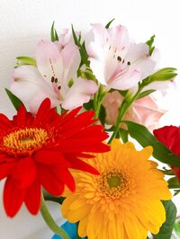 平野ノラ『ハズバンド』