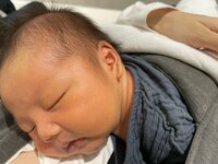 桃『じろ、大学病院へ。』