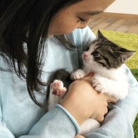 上白石萌音『癒』