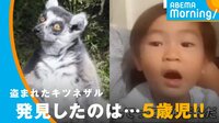 盗まれたキツネザル5歳児が発見