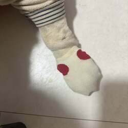 北斗晶、愛犬の皮膚トラブルに“意外なアイテム”で対応「早く良くなりますように」