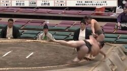 “回転”落下の力士を"がっちり"キャッチ あわや顔面キック被弾で衝撃ファインプレー「避けないのかっこいい」