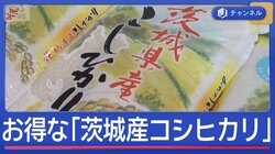 コメ平均価格3800円台に　「茨城産コシヒカリ」がお得なワケ