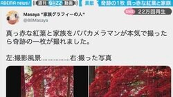 真っ赤に染まる紅葉の下に母子2人 撮影風景と写真の比較に「神カメラマンか」「涙出た」と反響