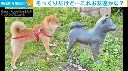 「お尻嗅いじゃったｗ」自分そっくりの銅像に“挨拶をする”豆柴が話題