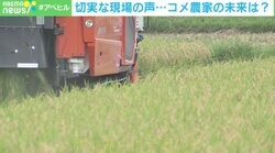 「コメ自給も困難になる可能性」専門家が推計 農家の持続可能性と食料安全保障 