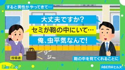 セミが鞄の中にいるはず… 踏んだり蹴ったりな出来事に「そんなおもしろすぎる話ある？」とTwitterで反響