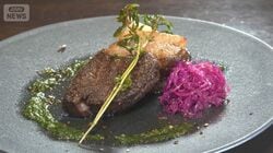 「あふれ出る肉汁」クマの肉　関心上昇も「処理場ない」季節で違う脂乗り　難しい扱い