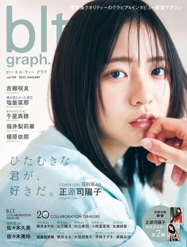 日向坂46　引退品　雑誌切り抜き　blt graph　anan　日向坂46新聞 日向坂46 引退品 雑誌切り抜き blt graph anan 日向坂46新聞 日向坂46