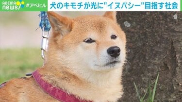 あなたは犬の気持ちが本当にわかっている？ 愛犬の感情を知る「イヌパシー」とは | 国内 | ABEMA TIMES | アベマタイムズ