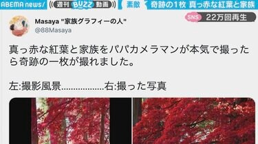 真っ赤に染まる紅葉の下に母子2人 撮影風景と写真の比較に「神