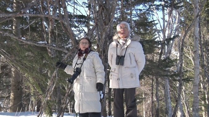 「お金のために、というのは僕の生き方じゃない」北海道の山奥に移住、費用ゼロで公権力に挑む”山小屋弁護士” 15枚目
