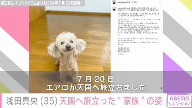 浅田真央（35）、「愛は永遠に…」愛犬・エアロの三回忌を報告 3枚目