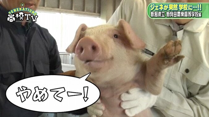 自由すぎてメンバーを翻弄？　GENERATIONS中務裕太の“クセ強”名シーン3選 6枚目