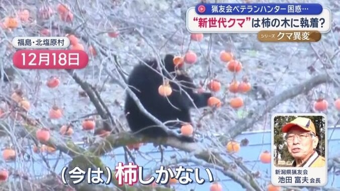 「（今は）柿しかない」