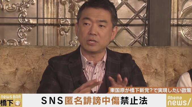 乙武氏「車椅子やベビーカーはすぐに避けられないので危ない。歩きスマホ禁止法を」　ネット社会に求められる法案は？ 4枚目