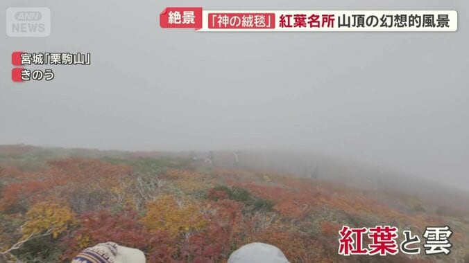 目前に広がる紅葉と雲の幻想的な風景