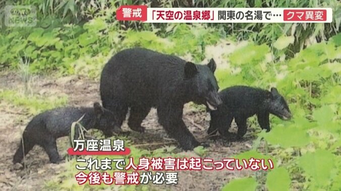 これまで人身被害は起こっていないが…