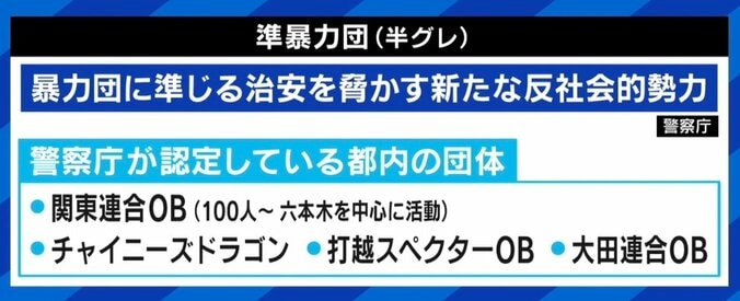 池袋の乱闘騒ぎに元刑事「警察にとってはチャンス」「違法行為は積極的に事件化する」 4枚目