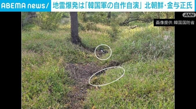 韓国国防省より