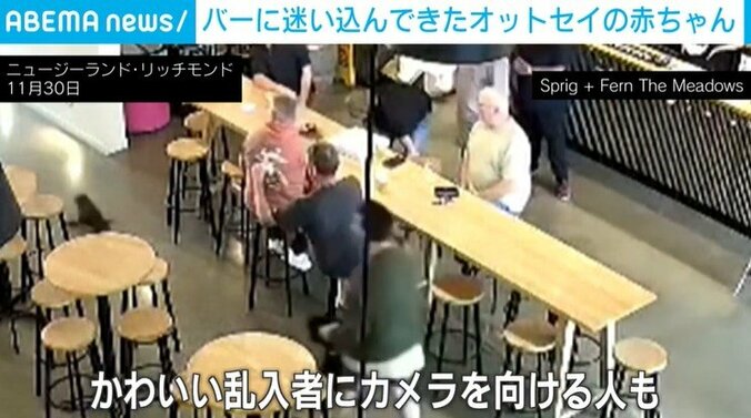 カメラを向ける店の客