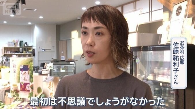 今では外国人を見ない日はないという
