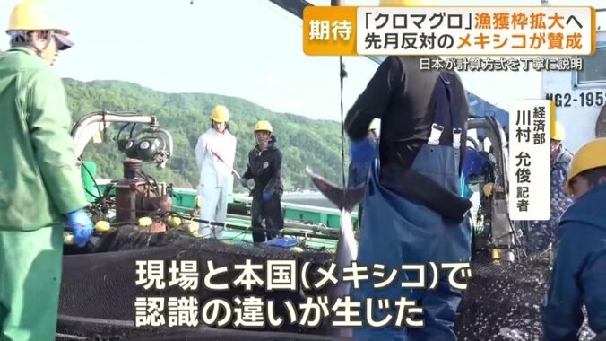 漁獲量を決める複雑な計算方式に…