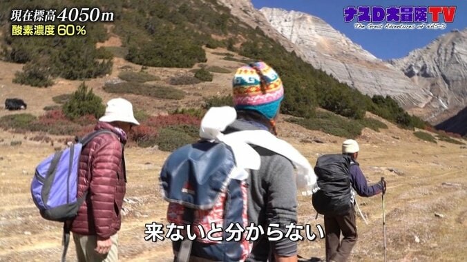 ナスD「地層がはっきりと出てる…」ヒマラヤ山脈の歴史に感激 3枚目