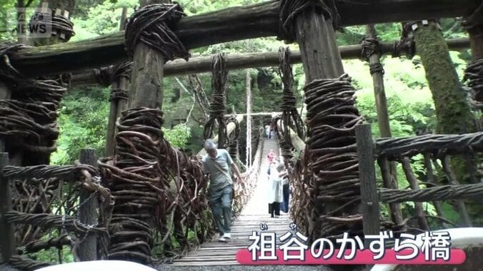 祖谷のかずら橋