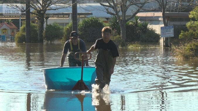 近づく台風26号　印旛沼の水引かず　ニシキゴイや金魚10万匹、浸水でほぼ全滅か 1枚目