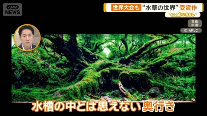 水槽の中だとは思えないくらい奥行きがある作品