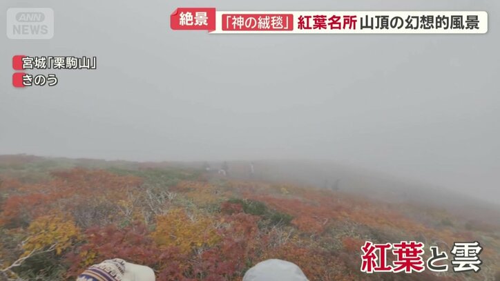 目前に広がる紅葉と雲の幻想的な風景