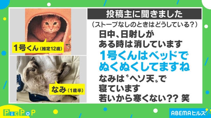 「つけてほしいニャ」ストーブを消された猫の訴え! 可愛すぎる4コマ写真の投稿主を取材