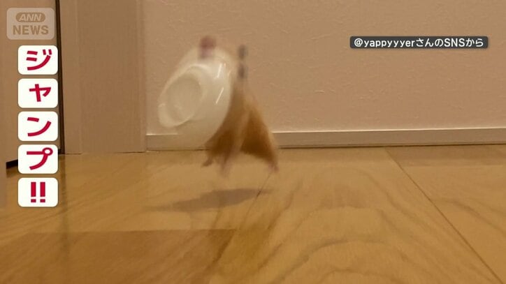 ジャンプも！