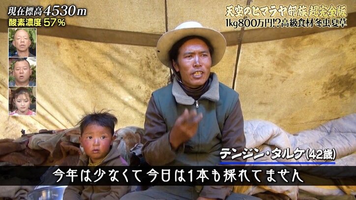 ヒマラヤで金に目が眩んだスタッフの姿にナスDがドン引き「確実に現金収入を得ようとしてる。みんな目がマジ」