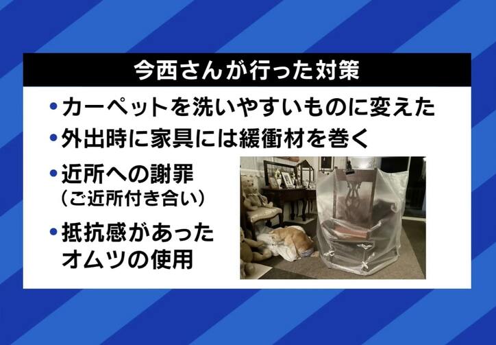 ペットの“認知症”予防と対策は?「安楽死」を選択する人も…介護&看取った当事者に聞く「恩返しする最後のチャンス」