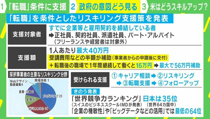 「転職する人限定」リスキリング支援 「使い勝手の悪さ」指摘も