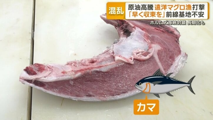 「カマトロ」と呼ばれる希少な部位